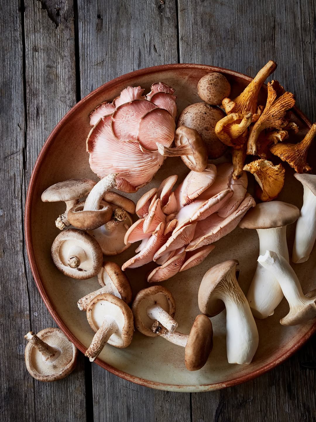 Dana Gallagher X Penguin Random House