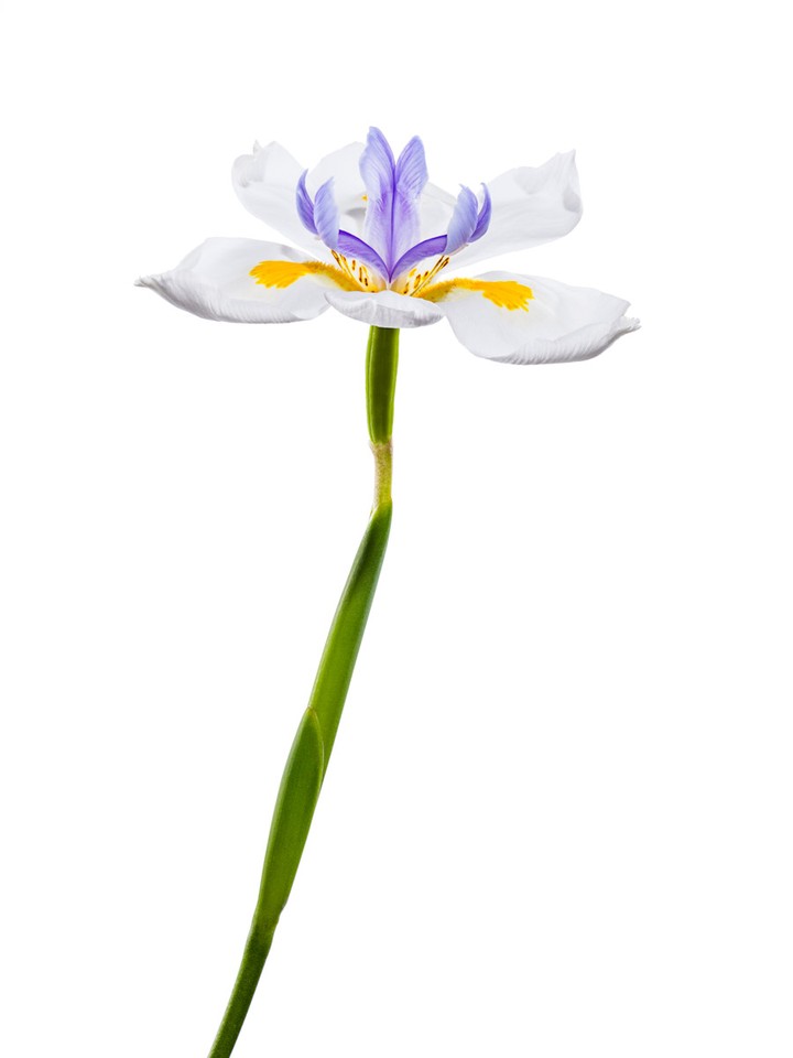 May. 25