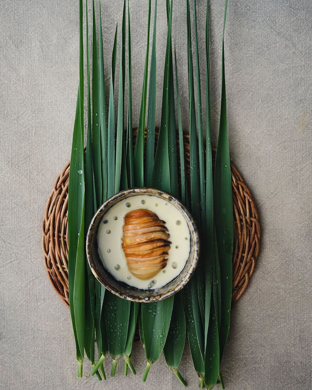 noma |  Jul. 25