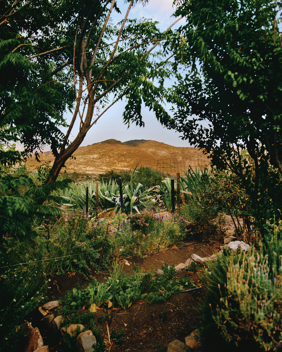 Heather Sten X Apartamento Magazine