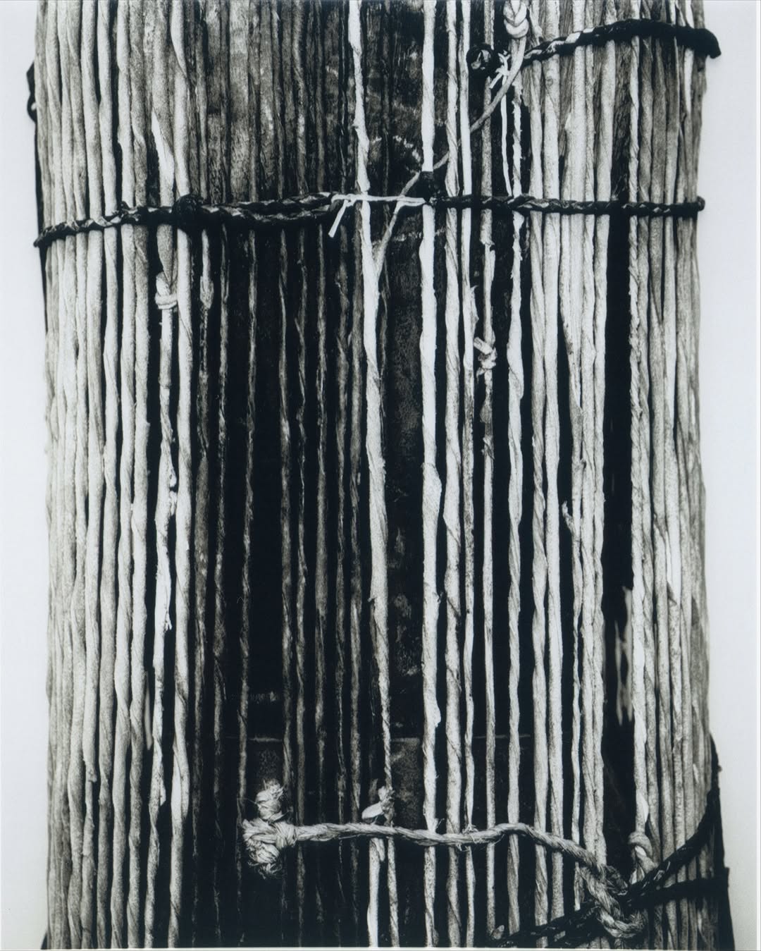 Eduard Sánchez Ribot X present space