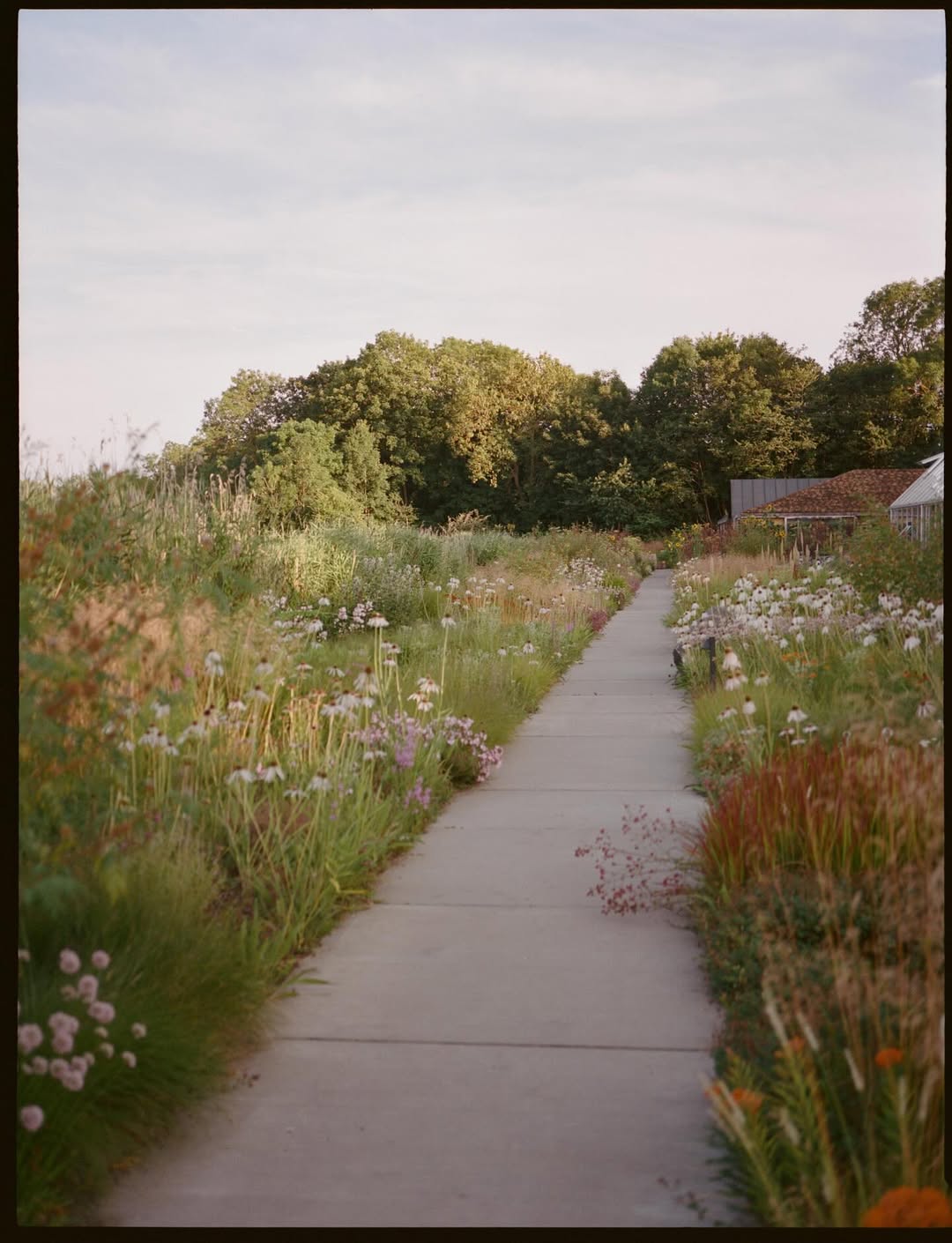 Elizabeth Heltoft X A Magazine Curated By