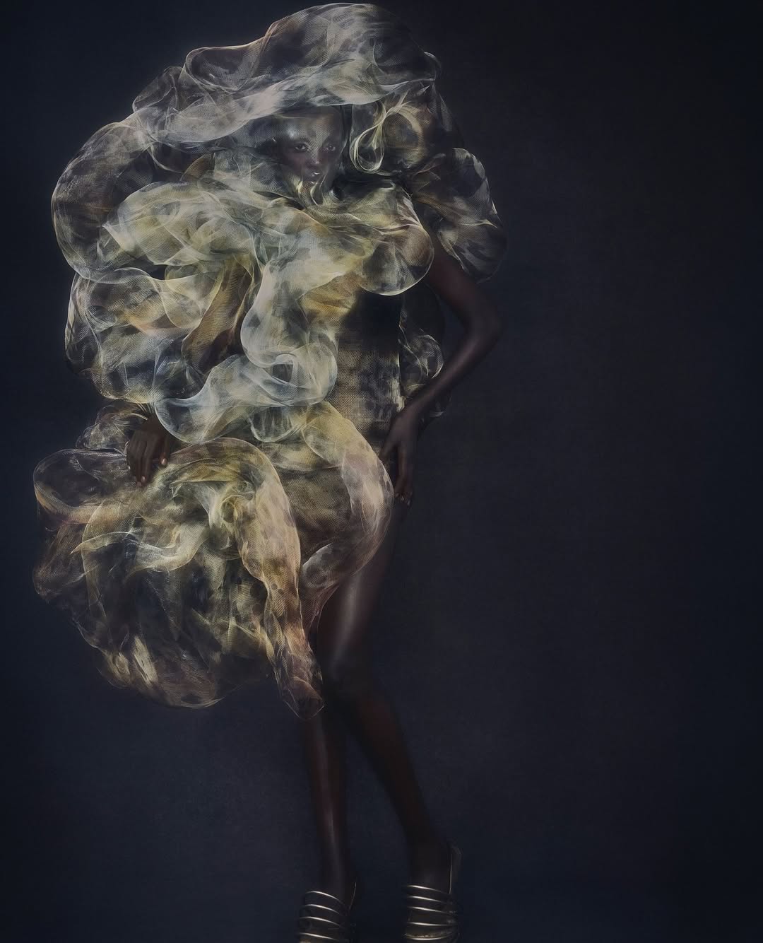 Iris van Herpen |  Sep. 25