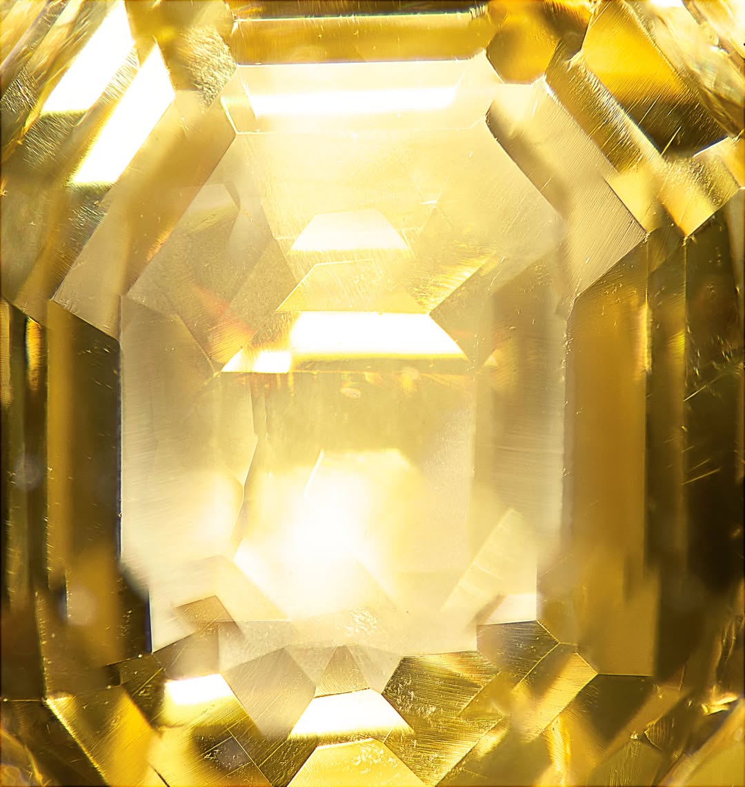 Laziz Hamani X Cartier