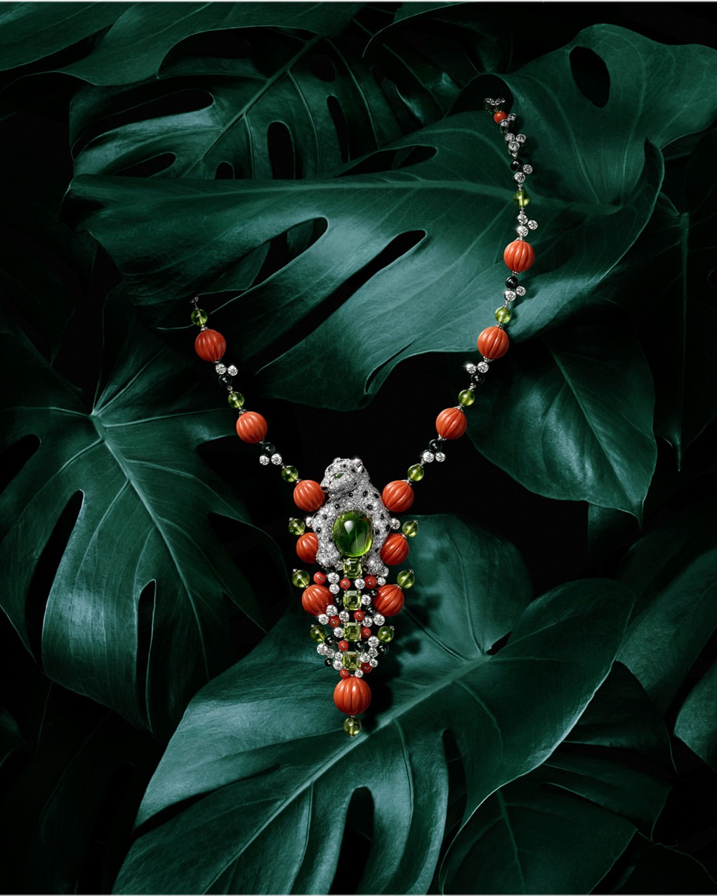 Iris Velghe X Cartier