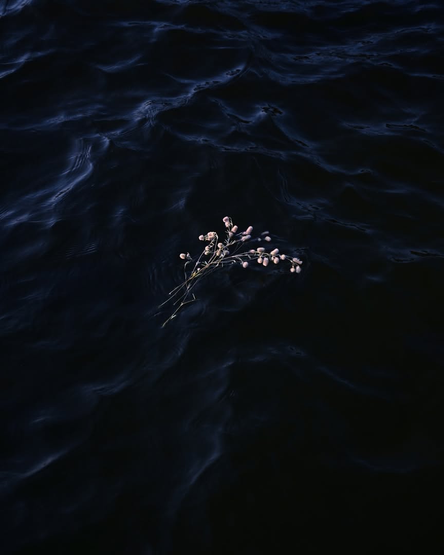 Ryan Hopkinson