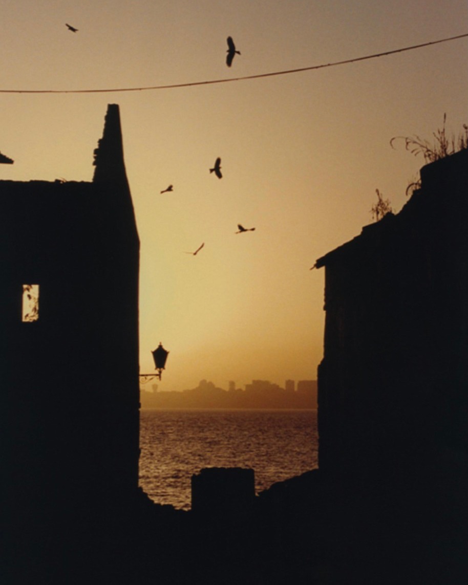 Denis Boulze