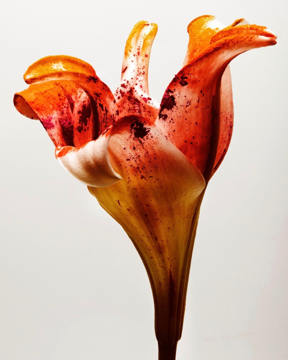 Vilhelm Parfumerie |  Aug. 25