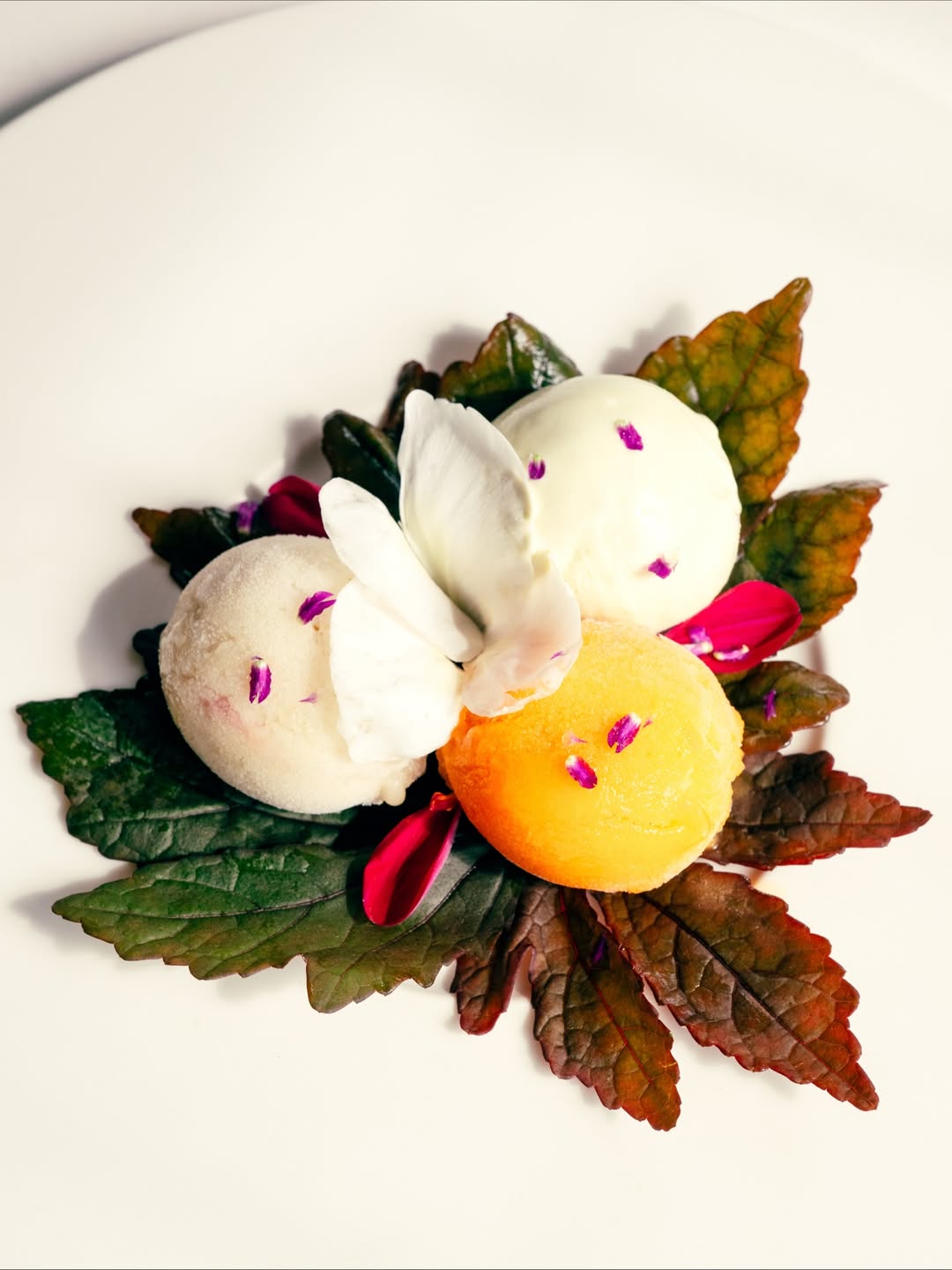 Travel + Leisure |  Nov. 25