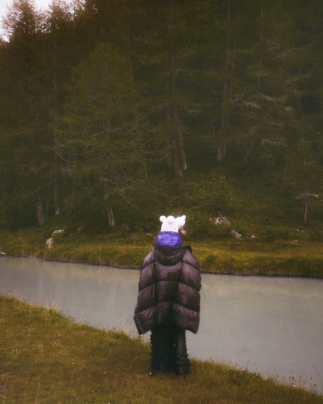 Collectible DRY |  Nov. 22