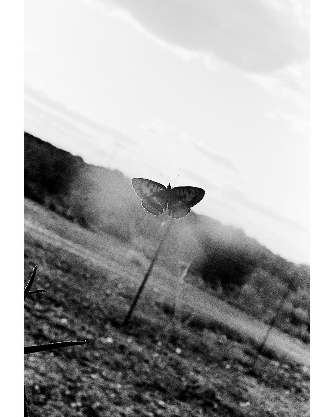 D.M. Terblanche fanzine⁣⁣ & Exhibition at Sain...