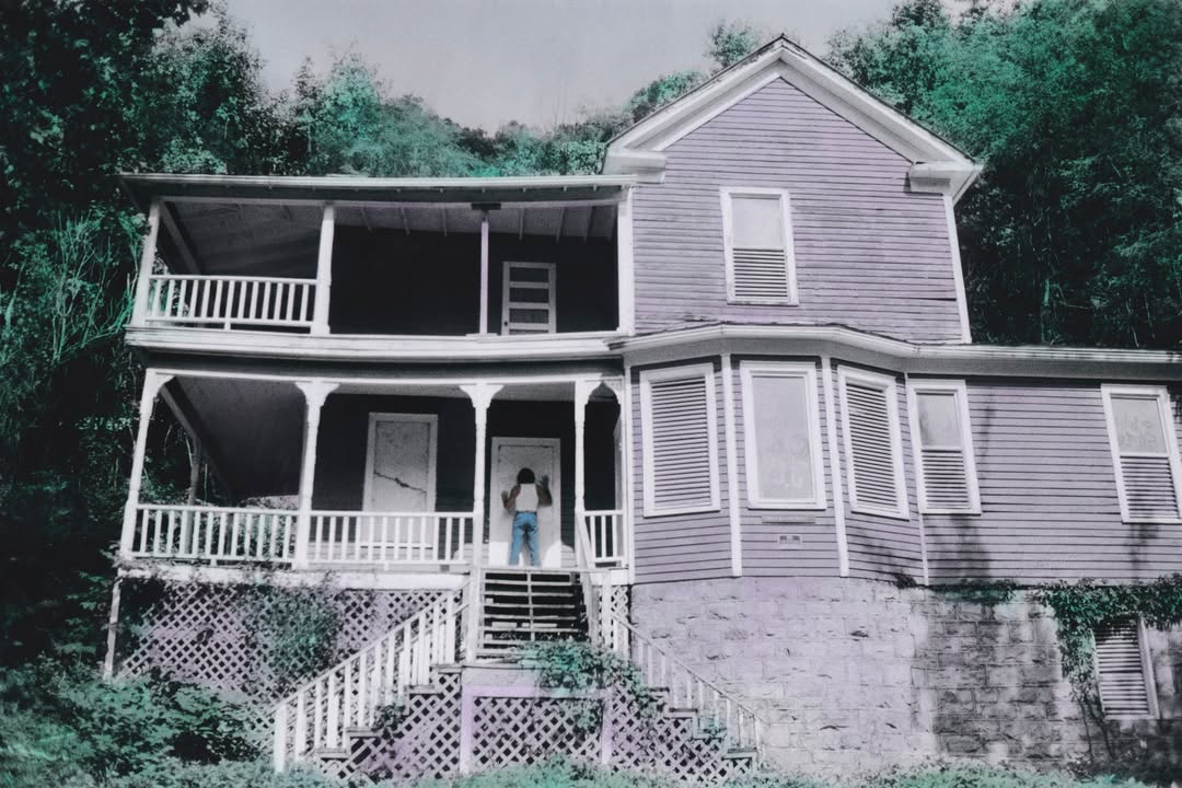 *American Album* by @bambivader 