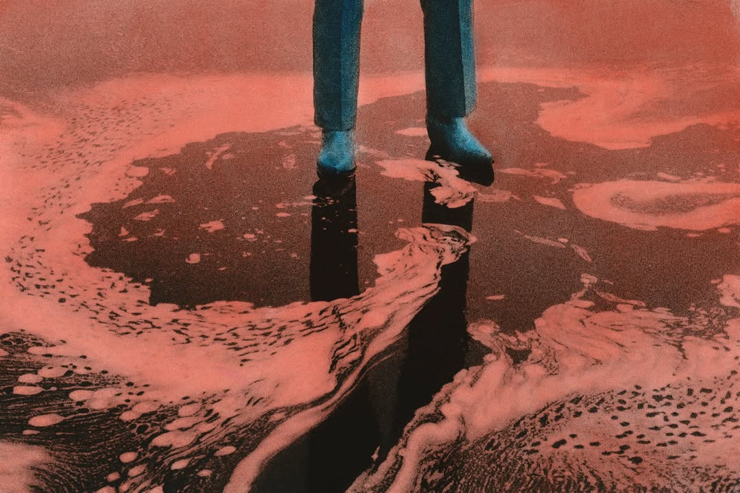 *American Album* by @bambivader 