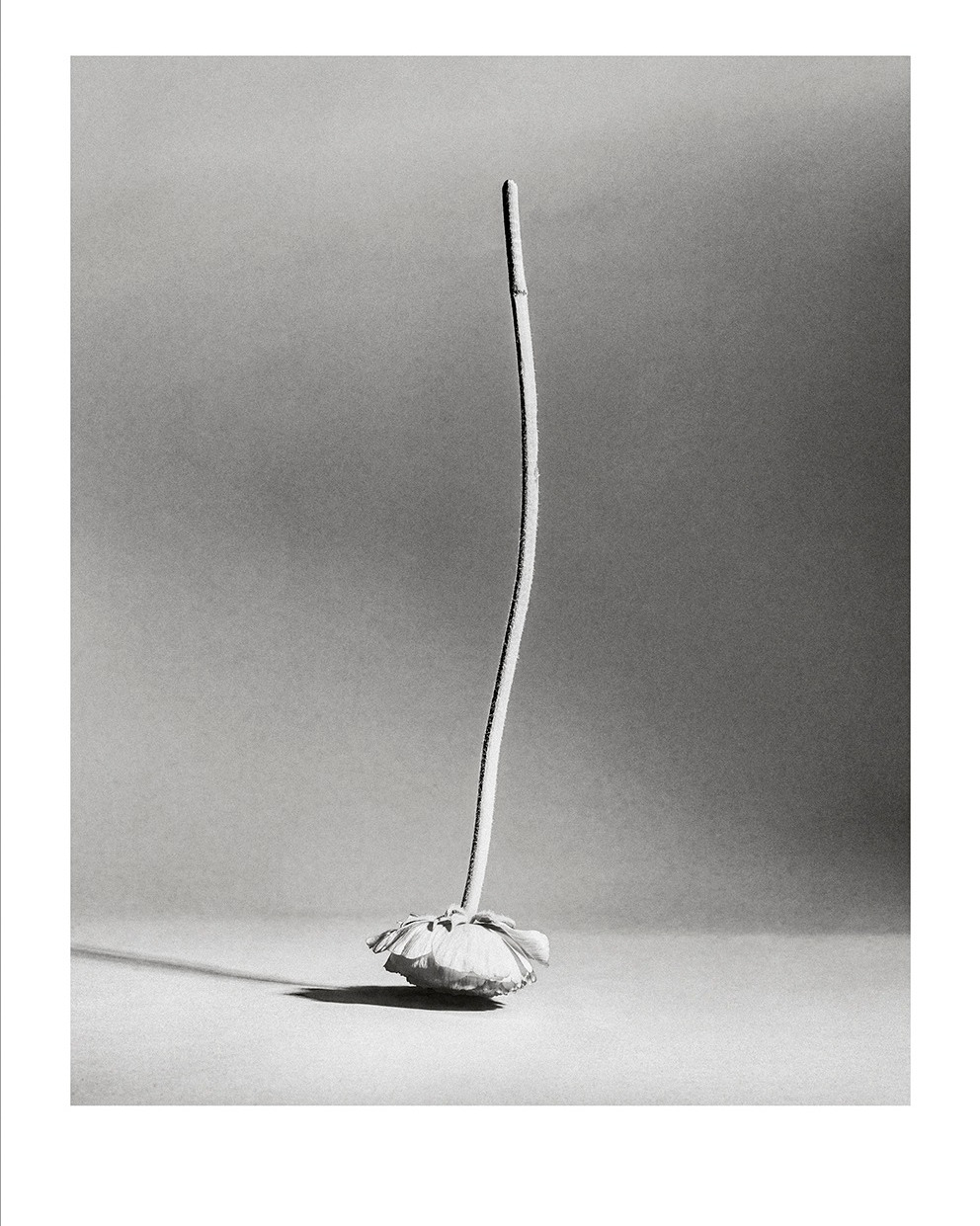 Fashion photographer @khaksariarash, winner of the...