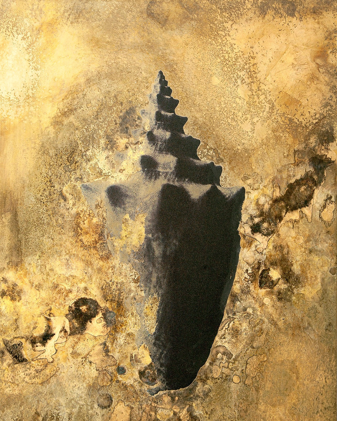 @nicola.avanzinelli  is an Italian visual artist, ...