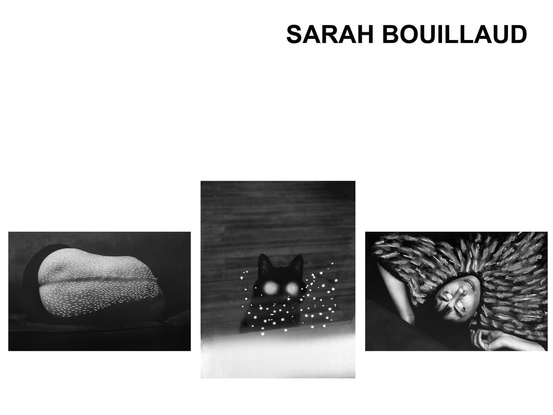 Congratulations to all those wonderful photographe...