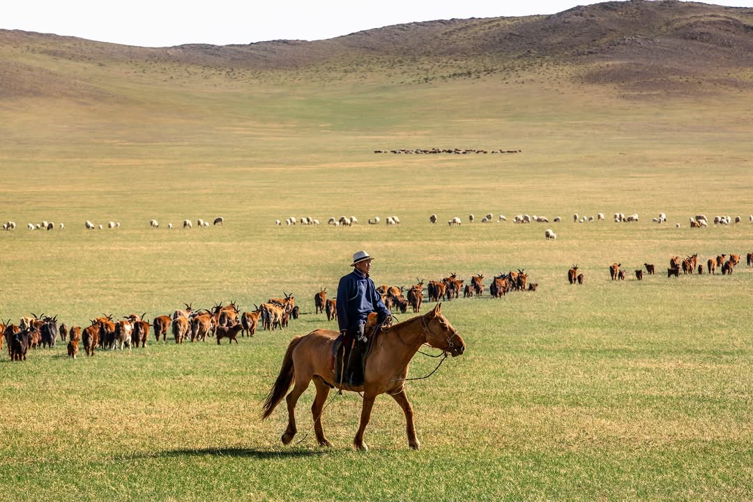 @loropiana cashmere, a story of care and heritage