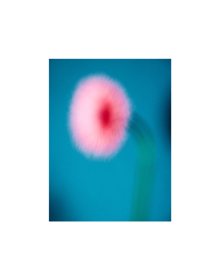 "De l'amour à la mort" is @valentinfougeray 's fi...