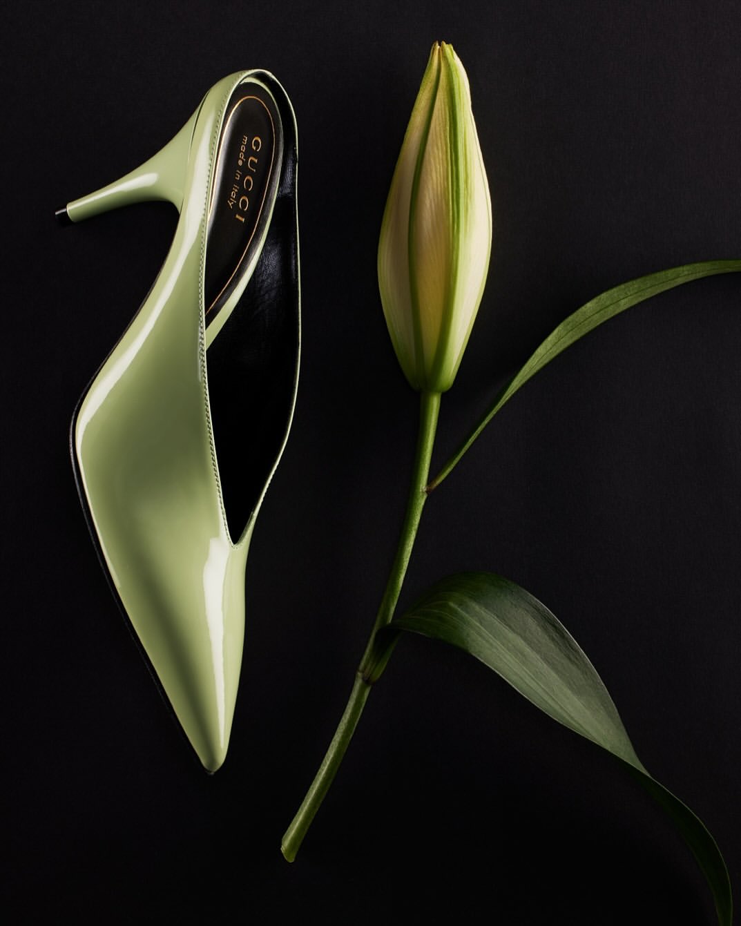 Joana Gauer X Amica