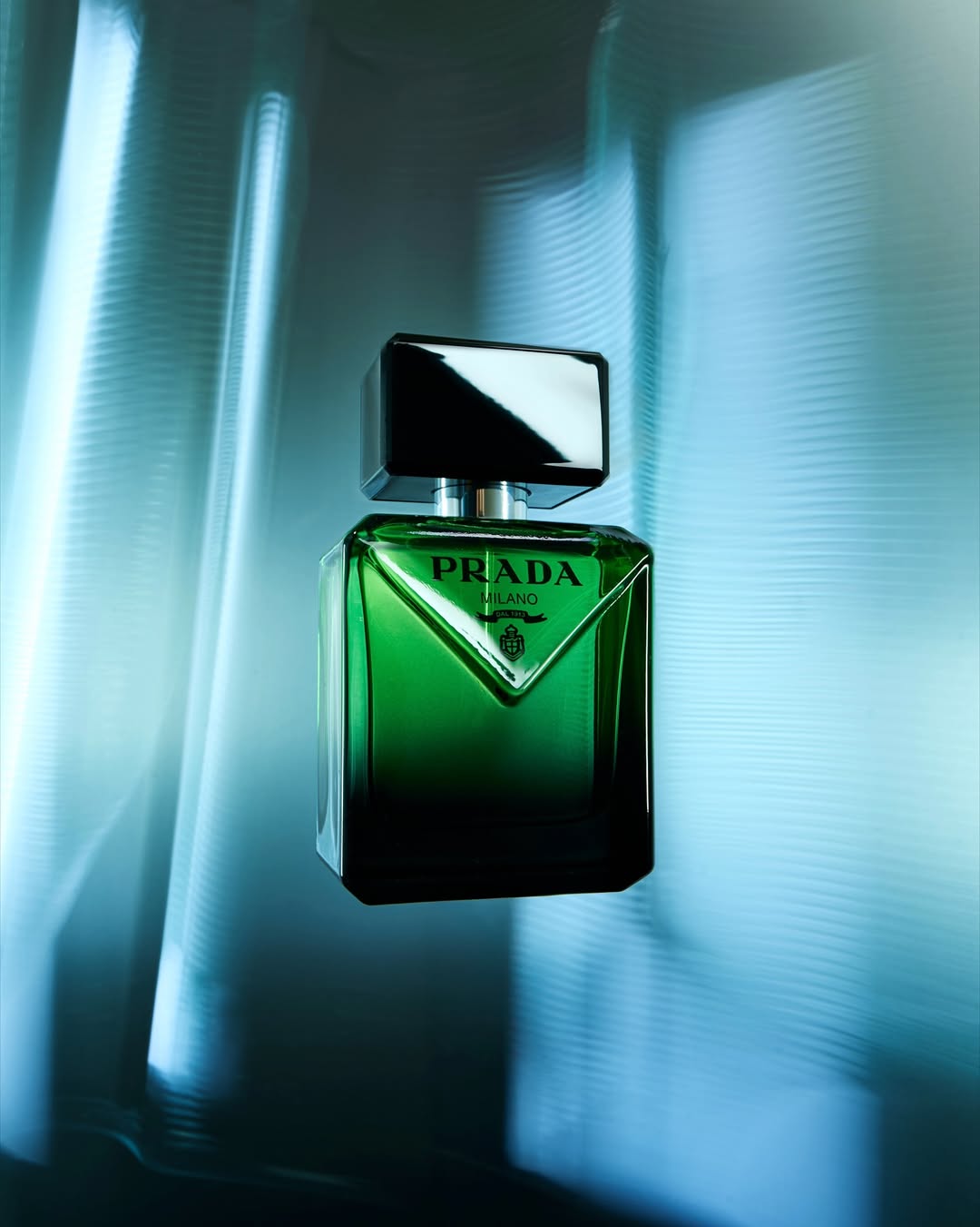 Guillermo Cano X Prada