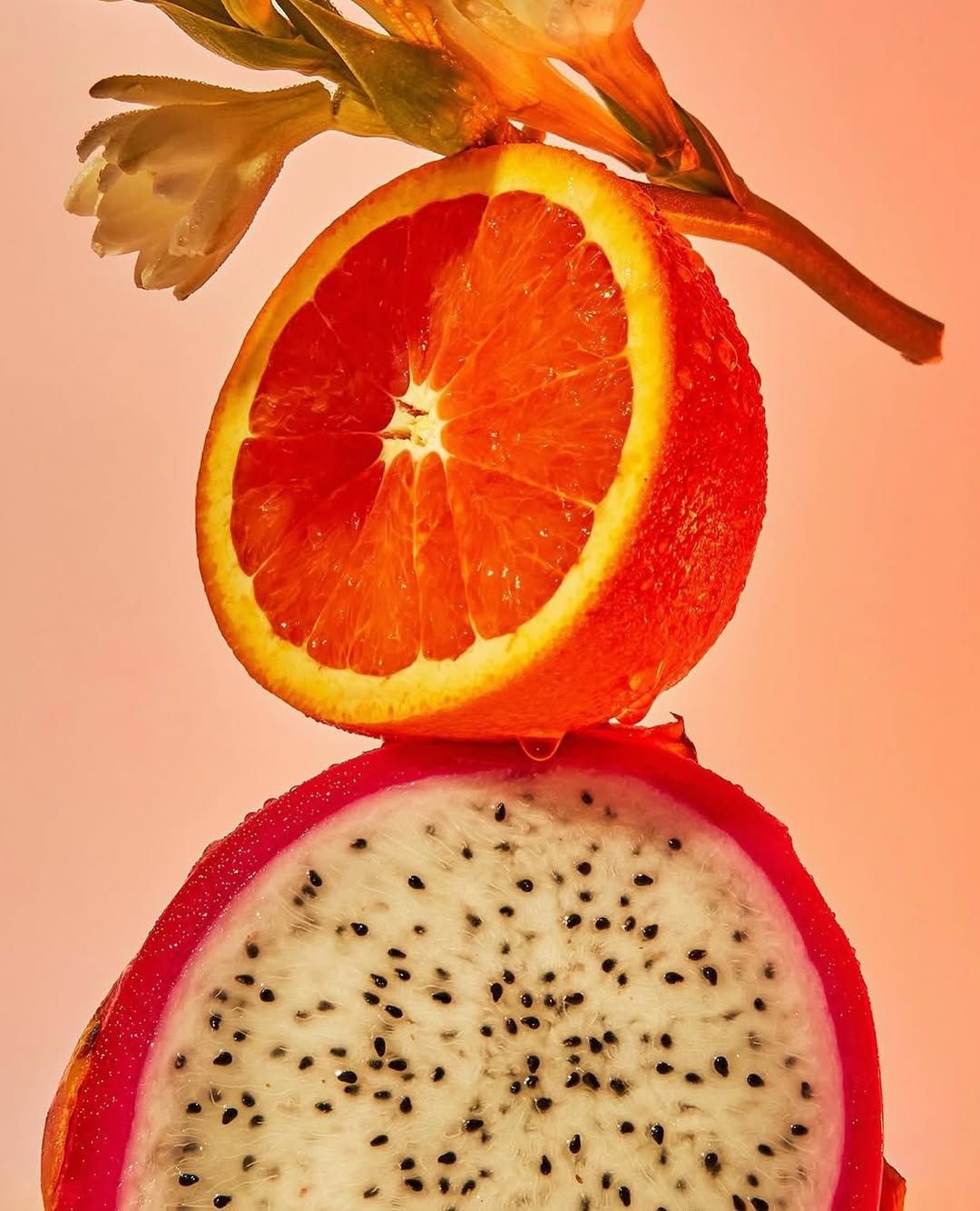 Build, shoot, and grow. Hubble Studio is where bra...