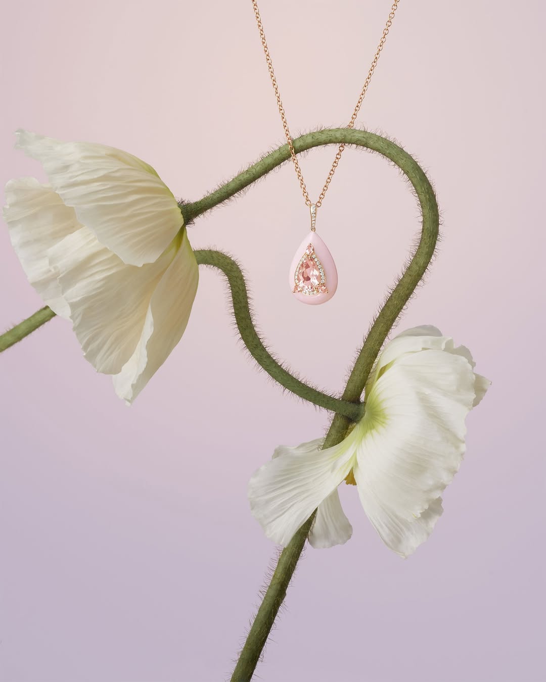 Isabelle Bonjean X BOGHOSSIAN