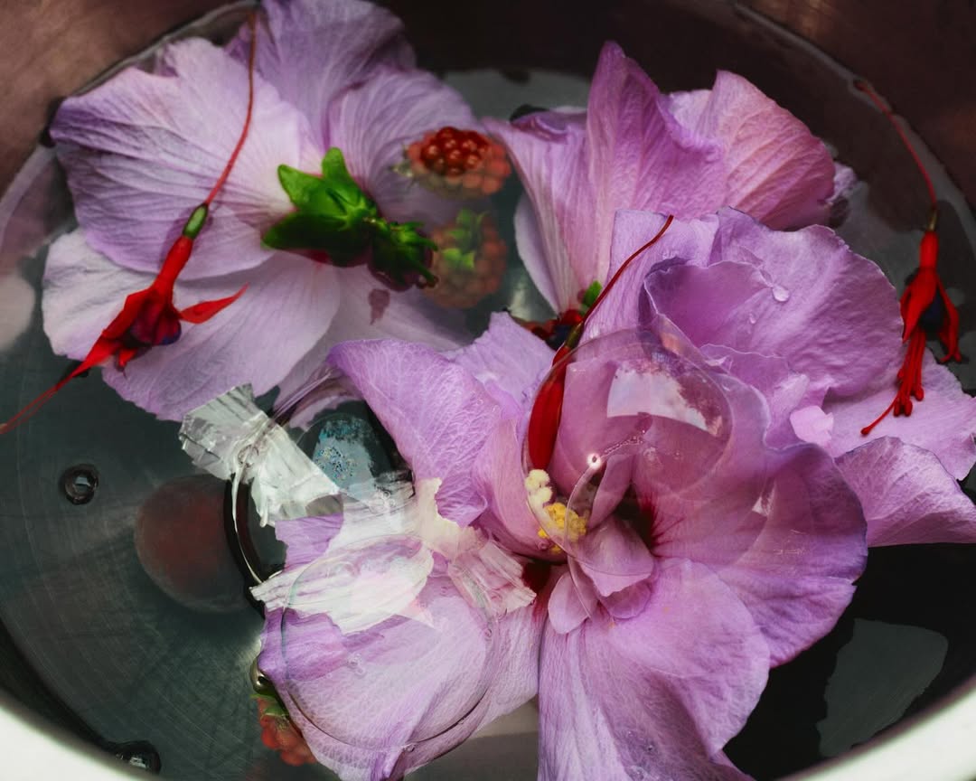 Romain Roucoules X Revue