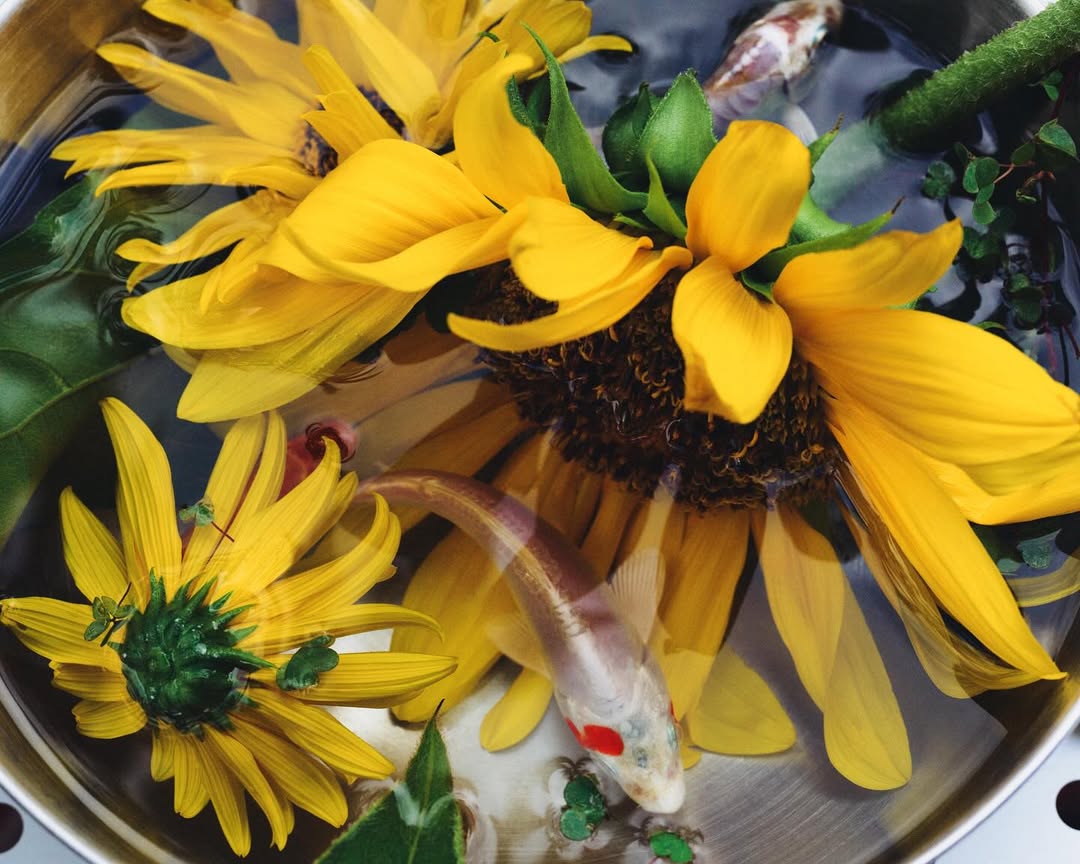 Romain Roucoules X Revue