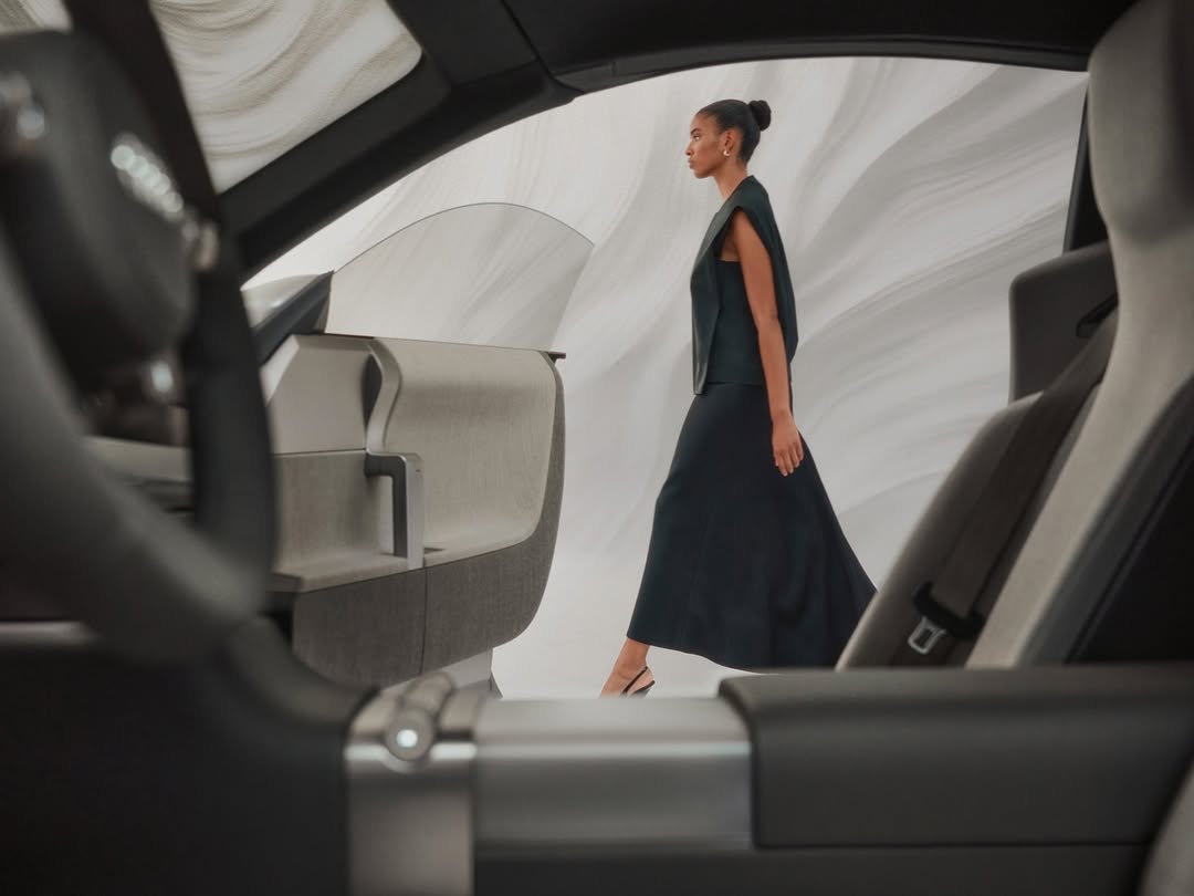 David Daub X Audi