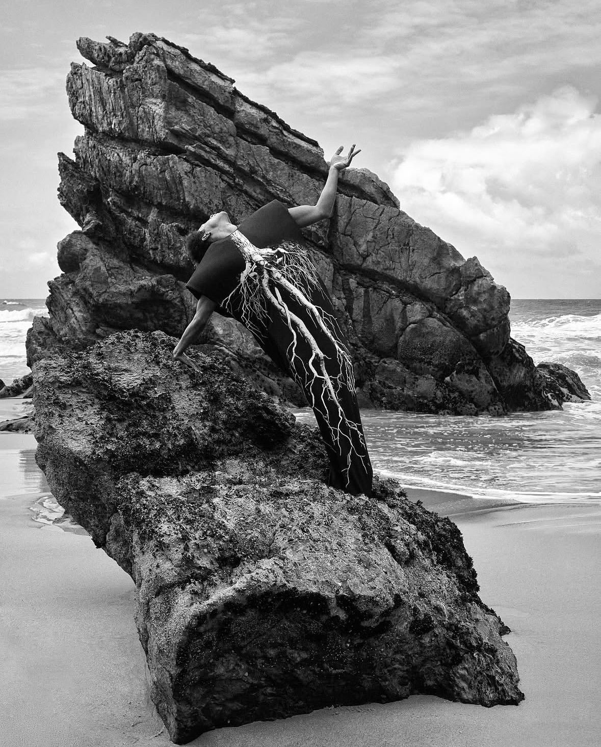 A powerful tribute to nature’s depth and mystery...