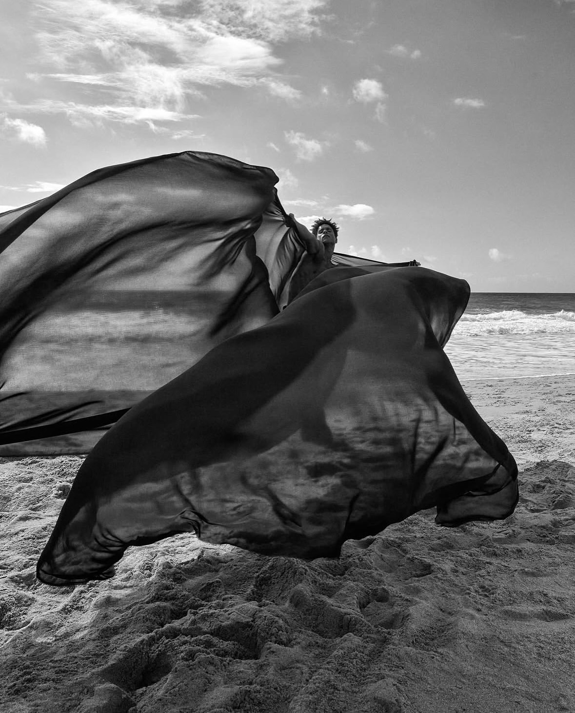 A powerful tribute to nature’s depth and mystery...