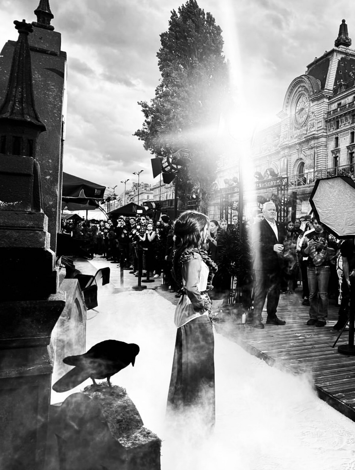 A touch of mystery and elegance unfolds under the ...