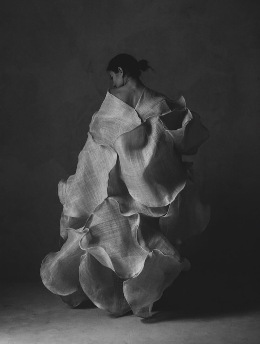 Elegance in motion, art in form.