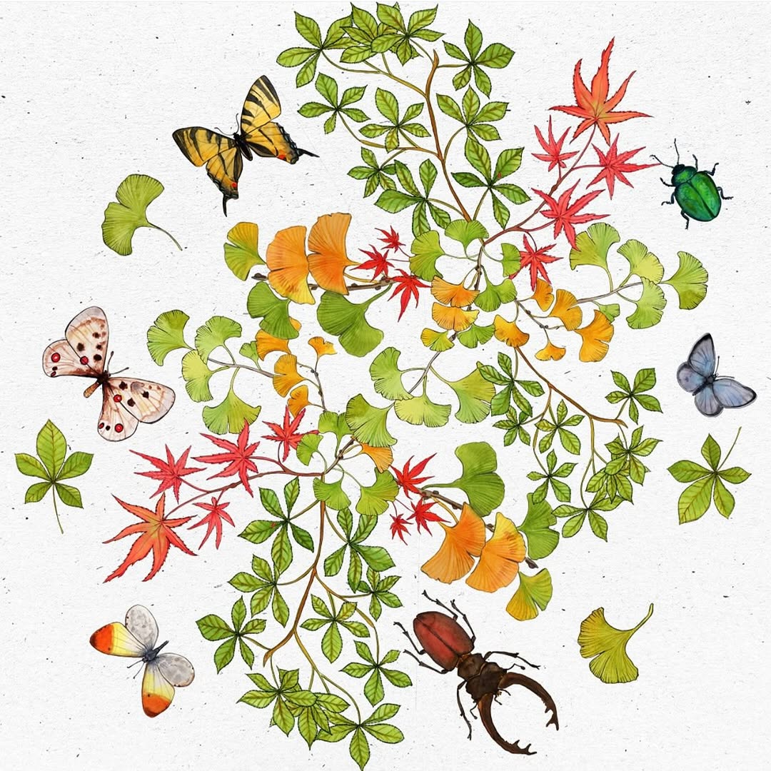 Andrea Tarella X Isole Borromee Lago Maggiore