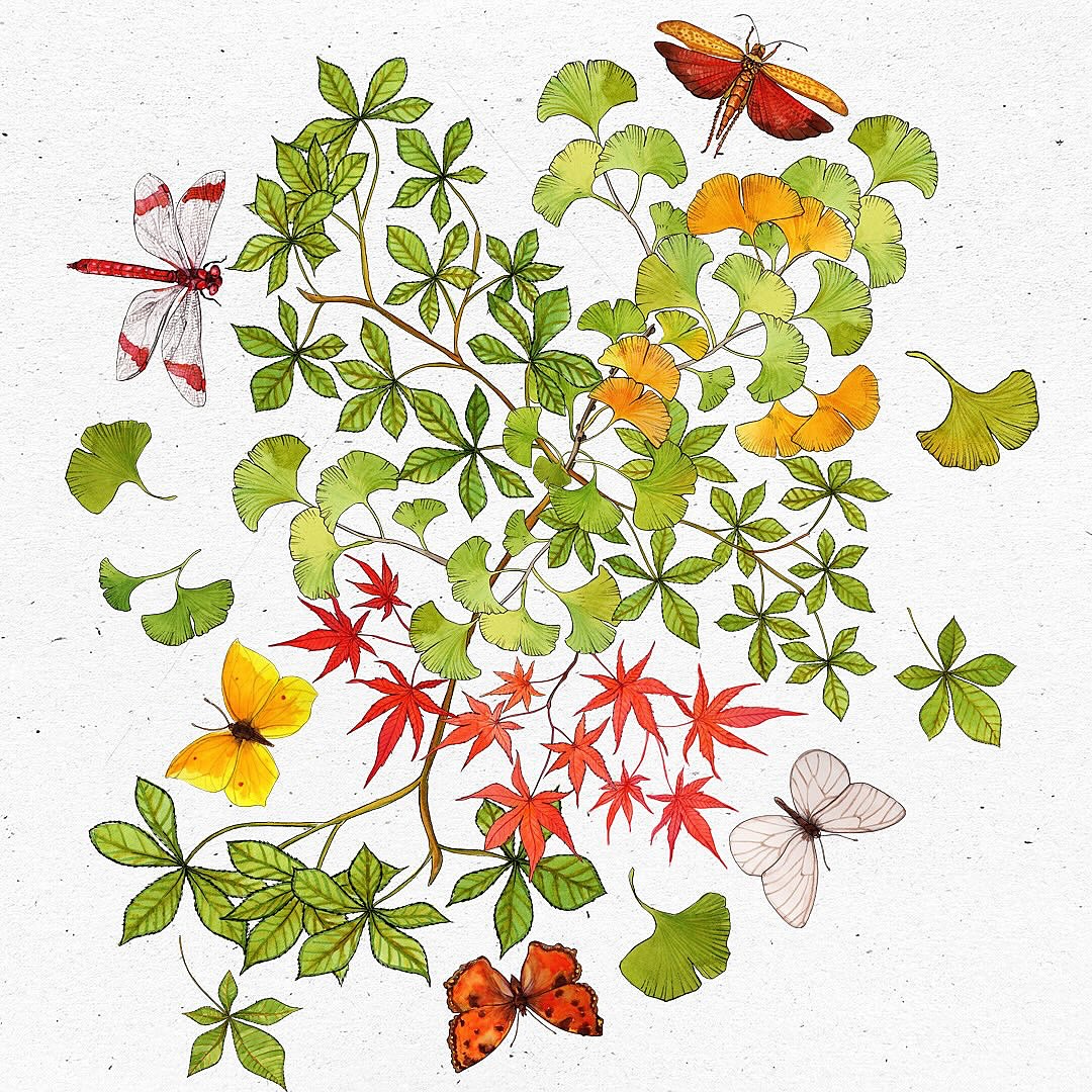 Alessandro Burzigotti X Isole Borromee Lago Maggiore