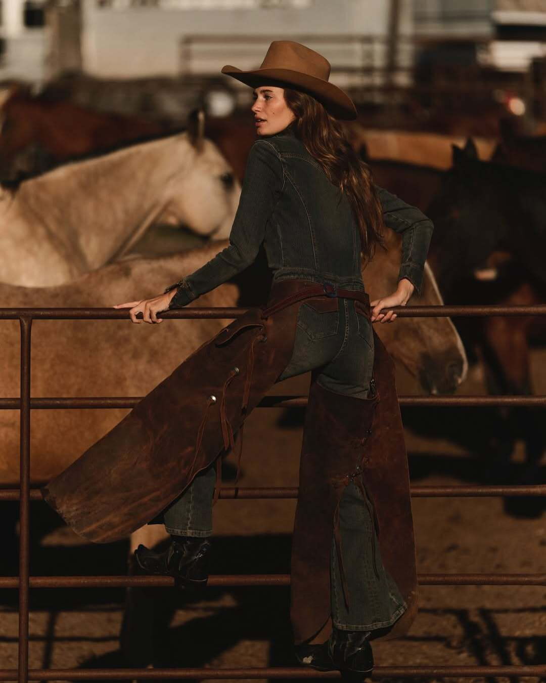 Diamond Cross Ranch |  Oct. 25