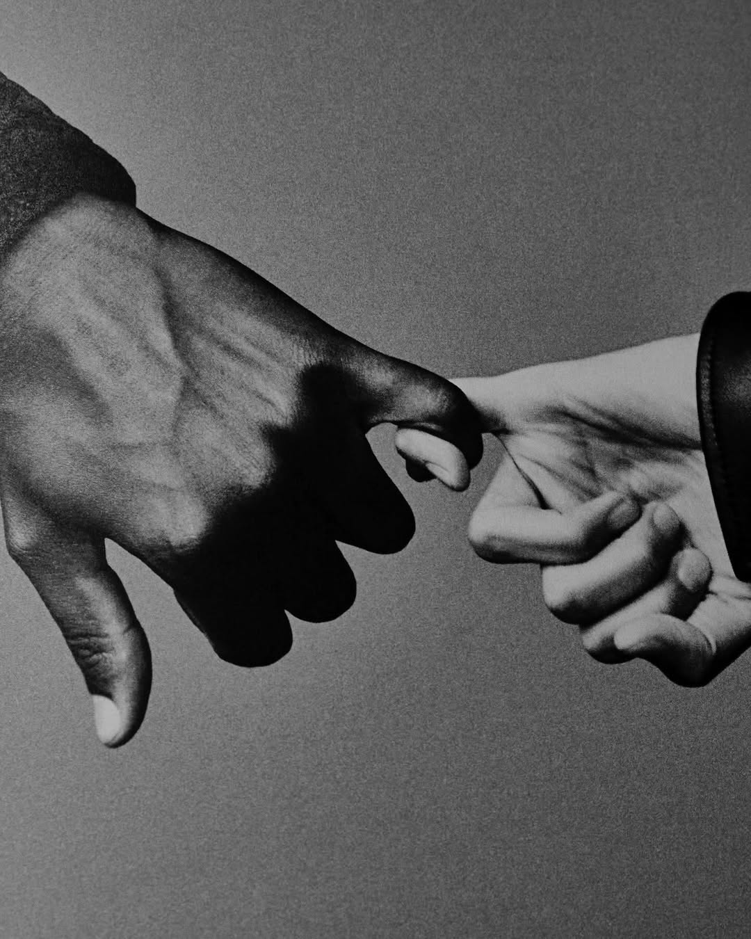 Jack Davison X New Bottega