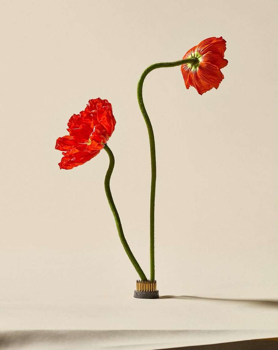 Jarren Vink