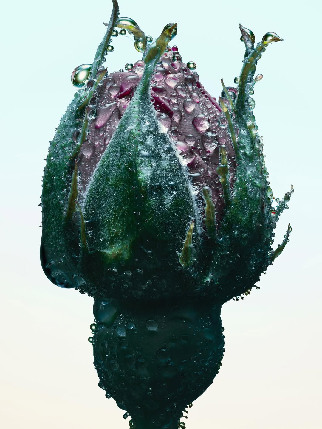 Jean-Baptiste Degez