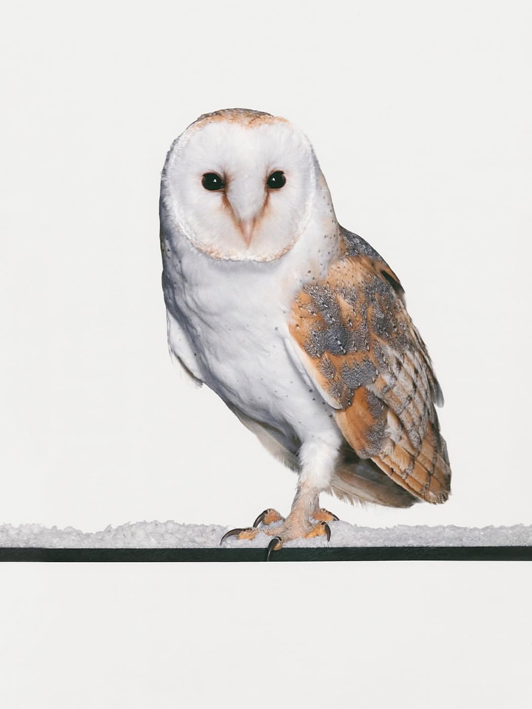 CHANEL END OF YEAR 2025 @chanelofficial