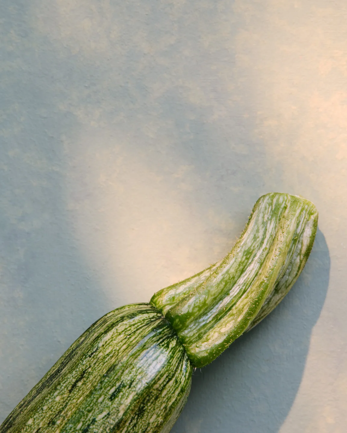 Good Food |  May. 25