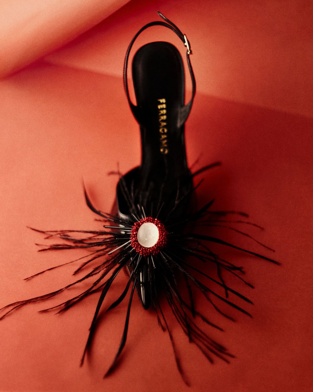 Adam Friedlander X Salvatore Ferragamo