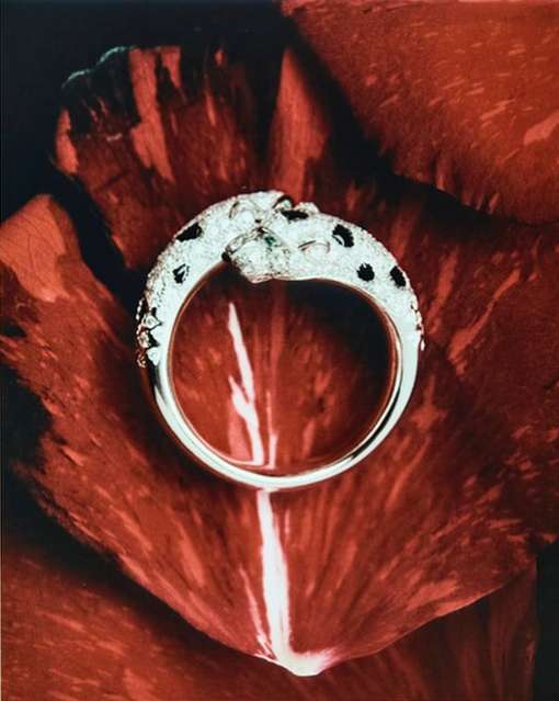 Harper’s Bazaar France |  Oct. 25