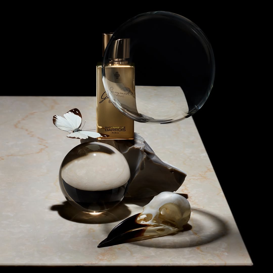 Emilie Erbin X Faux Q