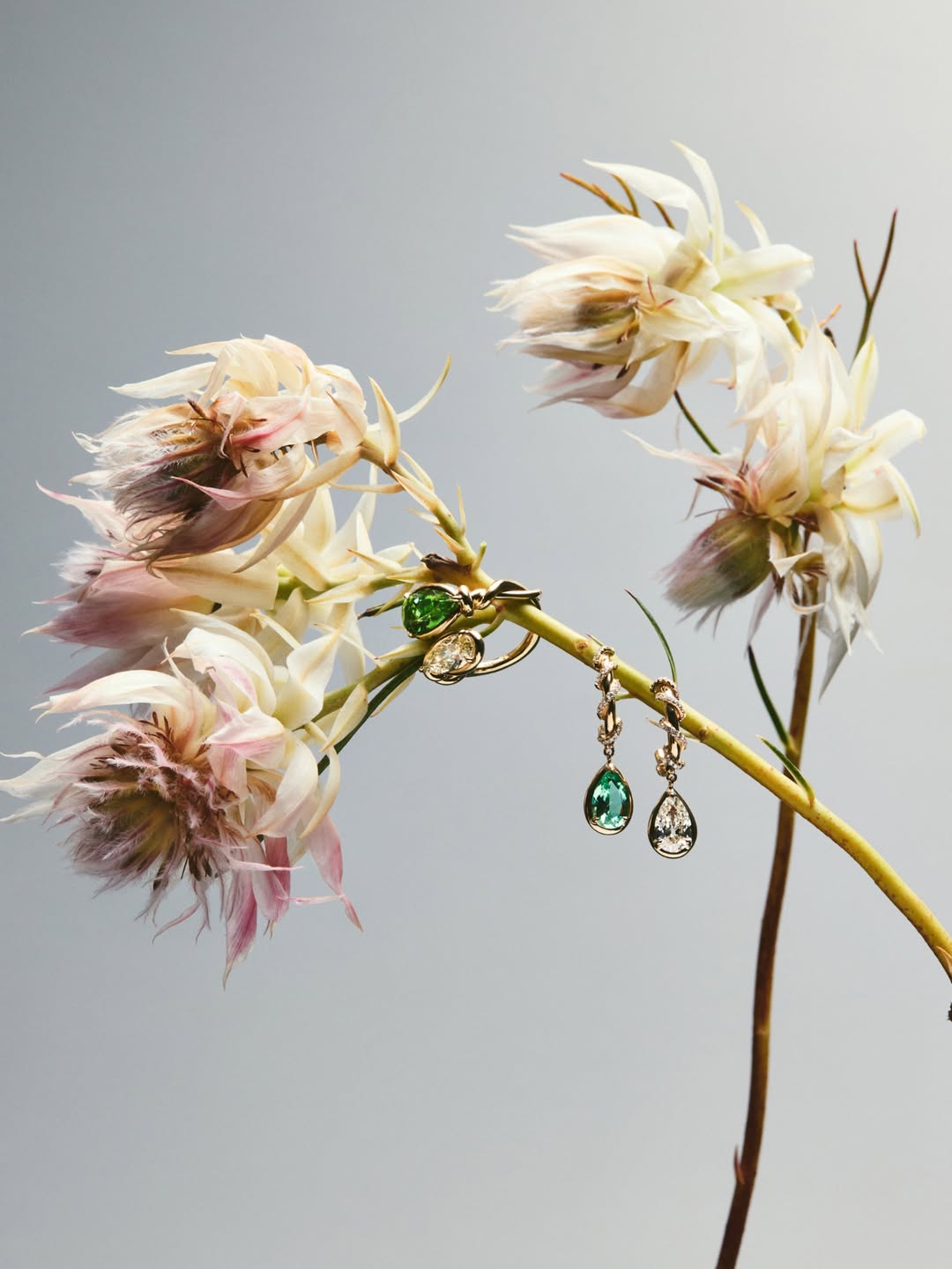 Joshua Pestka X Cuprian & Co.