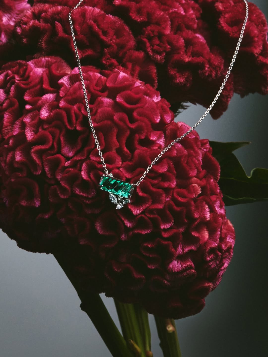 Joshua Pestka X Cuprian & Co.