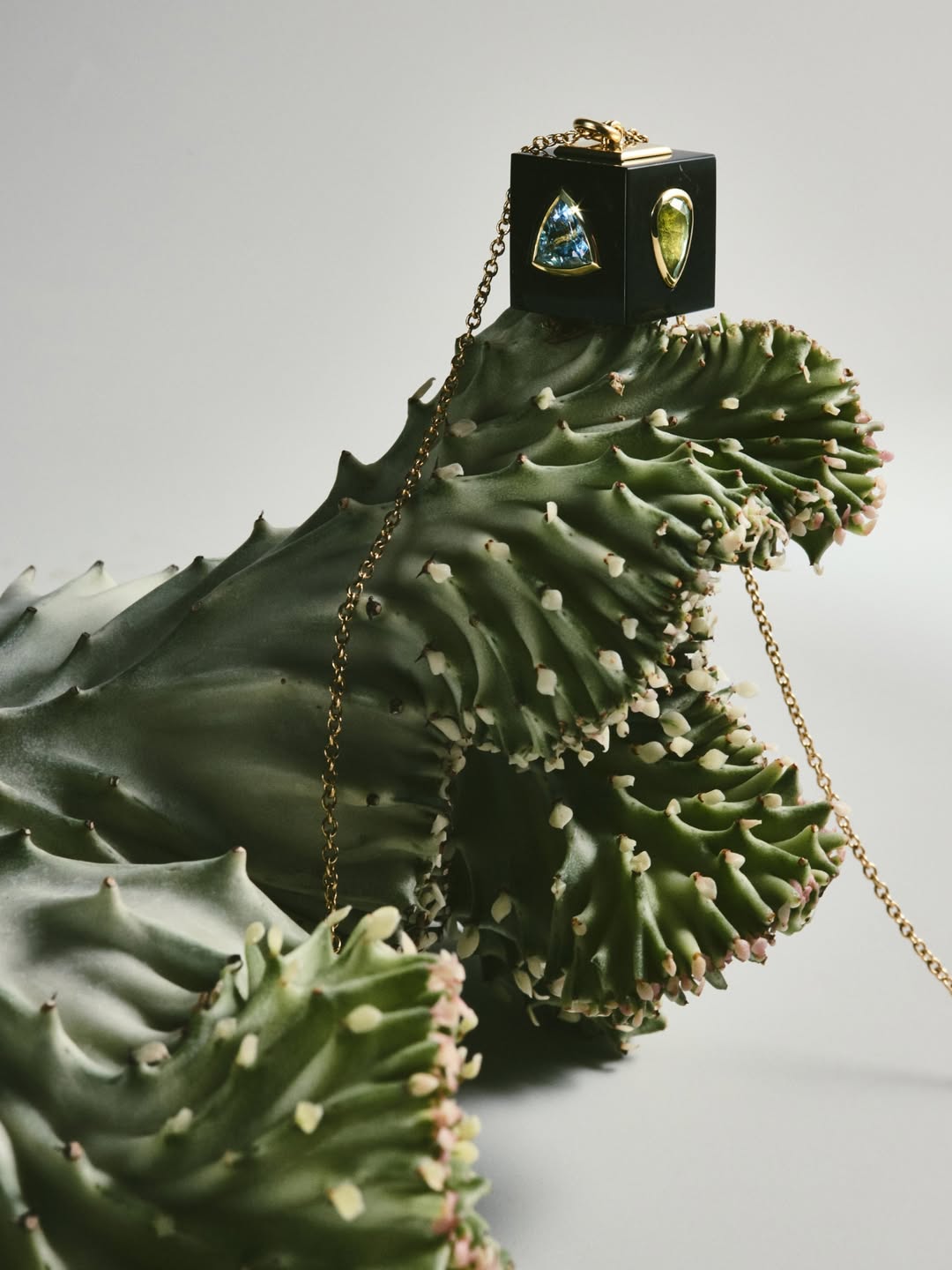 Cuprian & Co. |  Dec. 25