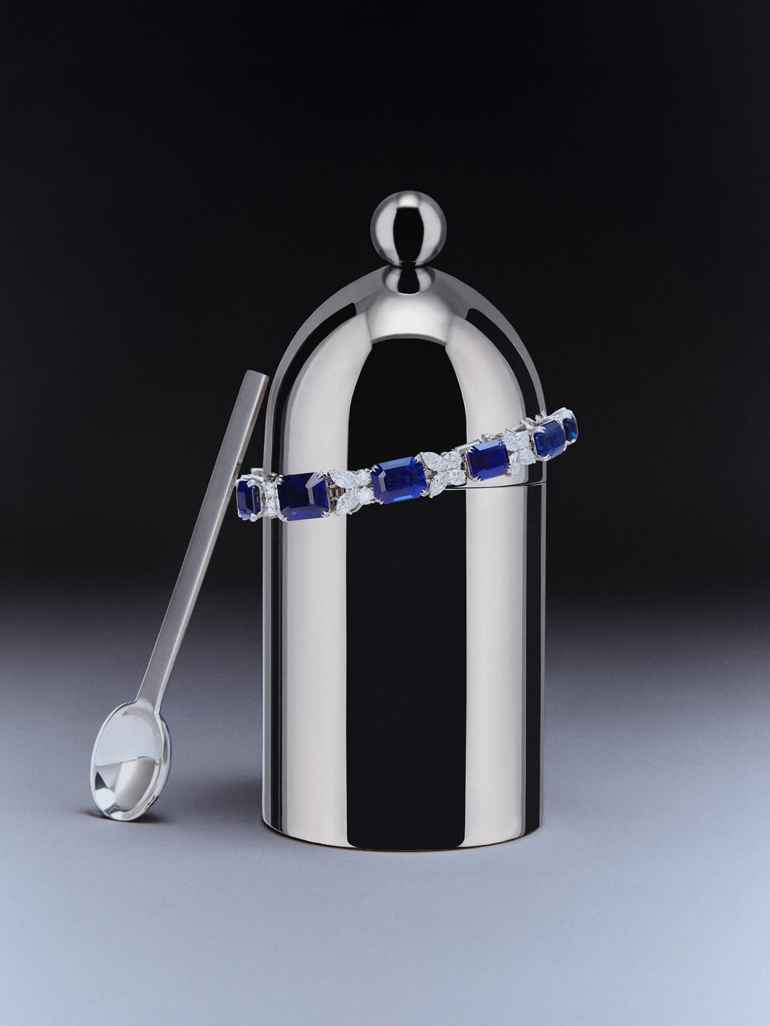 Juliette Allix X Harry Winston