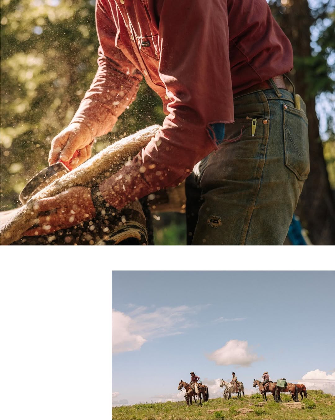 slider image