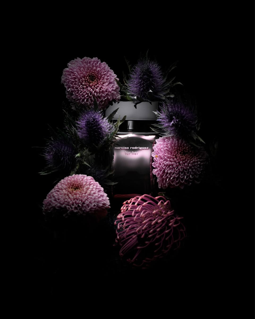 Daniel Lindh X Narciso Rodriguez